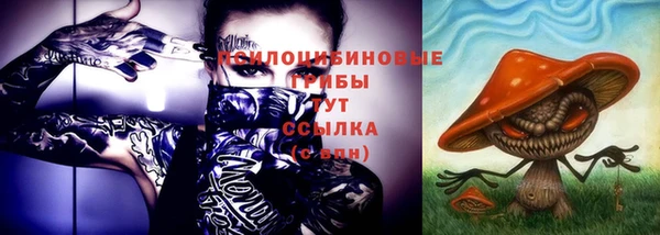 крисы Михайловка